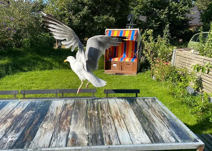 Esther * Norddorf auf Amrum